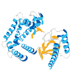 蛋白质及多肽