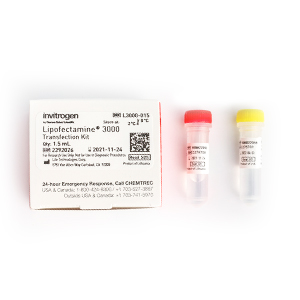 Lipofectamine™ 3000 Transfection Reagent