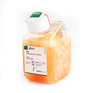 Fetal Bovine Serum, qualified, Australia